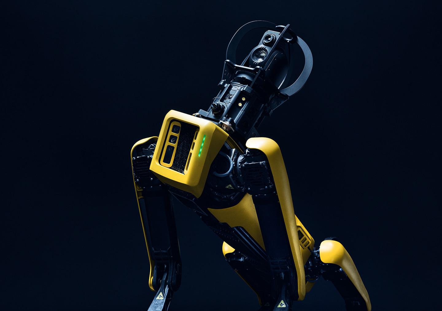 斑点，一个黄色的四足机器人，配备了红外相机有效载荷